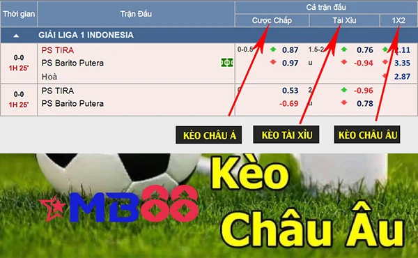 Kèo châu Âu là gì